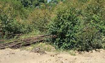 Imagem 2: Igaratá lotes com acesso a represa pgto facilitado