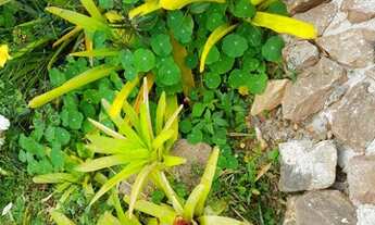 Imagem 3: Casa de condomínio para venda possui 150 metros quadrados com 1 quarto