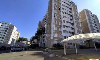 Imagem 5: Apartamento (cobertura 2 - duplex) 2 dormitórios/suite, cozinha planejada, portaria 24hs