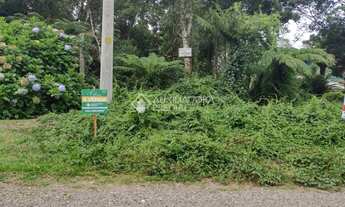Imagem: CANELA - Terreno Padrão - Alpes Verdes