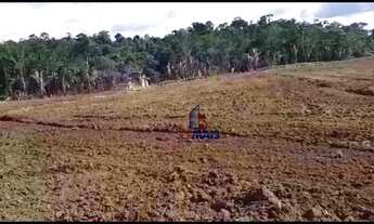 Imagem 5: Fazenda com 1 dormitório à venda, por R$ 9.200.000 - Setor 3 - Buritis/RO