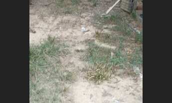 Imagem 5: Chácara para venda em Santo Antônio do Descoberto Goias divisa com Brasília