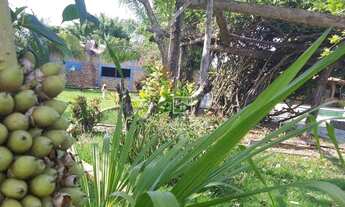 Imagem 2: Fazenda Pousada 30 Quartos Cuiabá - MT