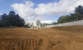 Imagem 6: área - Parque Camélias - Campinas