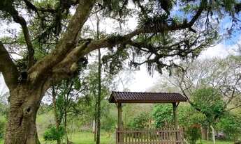 Imagem 2: Belo sítio com açude e arborizado, com frutíferas em Águas claras, confira!