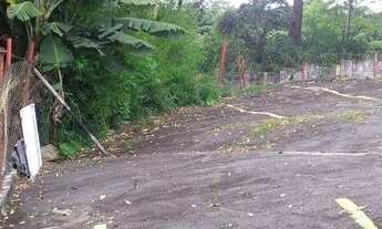 Imagem 1: Terreno à venda, 800 m² por R$ 1.300.000,00 - Vila Carmosina - São Paulo/SP