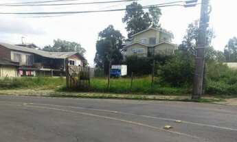 Imagem: CAXIAS DO SUL - Terreno Padrão - São Ciro