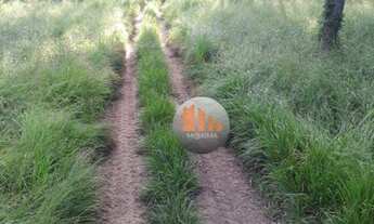 Imagem 4: Fazenda à venda, 750 alqueires por R$ 19.000.000 - Cocalinho/MT