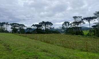 Imagem 5: Área Rural com 4,40ha de área total, para venda. São Franscisco, Urubici