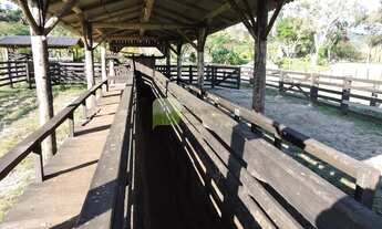 Imagem 5: Fazenda pronta p pecuária
