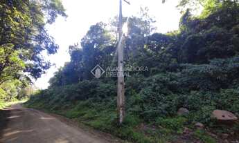 Imagem 3: CANELA - Terreno Padrão - Centro