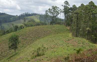 Imagem 2: Terreno com ótima topografia
