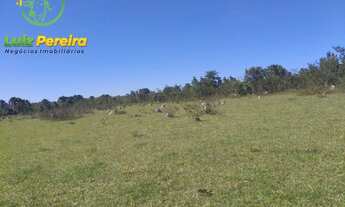 Imagem 2: FAZENDA À VENDA EM PEIXE - TO - 2.226,4 HECTARES (DUPLA APTIDÃO
