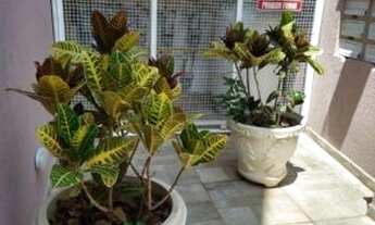 Imagem 6: São paulo - Apartamento Padrão - Cidade Líder