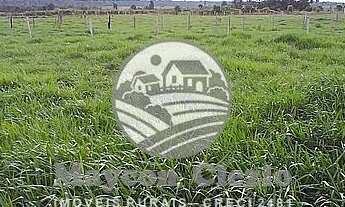 Imagem 1: Machadinho D'Oeste - Sítio - Machadinho D'Oeste