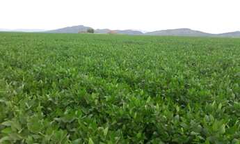 Imagem 2: Fazenda - Novo Planalto (GO