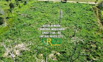 Imagem 6: 23.6 Alqueires Machadinho-RO