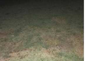 Imagem 1: Terreno, Umuarama, Osasco-SP