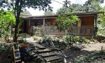 Imagem 3: Chácara em Portão REF: 210308