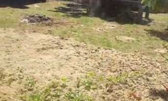 Imagem 4: Vendo casa em Brasileia tbm troco em casa em Epitaciolandia