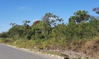 Imagem 4: Oportunidade: Área com 13.120m2 - Porto Grande - Araquari - SC