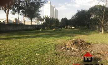 Imagem 3: Área Comercial / Jardim Áurea