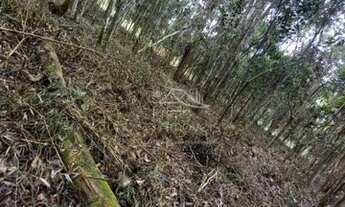 Imagem 5: Área para venda na Granja Urupes