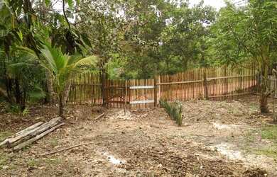 Imagem 3: Terreno agrícola no Riacho doce