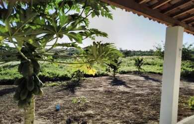 Imagem 6: Sítio para Venda em Gravatá, Gravatá Centro, 3 dormitórios, 1 suíte, 1 banheiro, 1 vaga