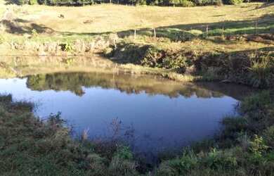 Imagem 7: Sitio em Buenos Aires