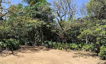 Imagem: Juiz de Fora - Terreno Padrão - Recanto