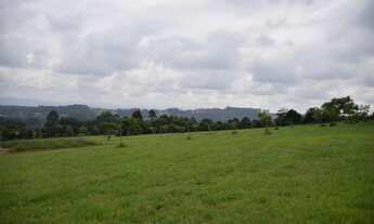 Imagem: Lote/Terreno para venda tem 1000 metros