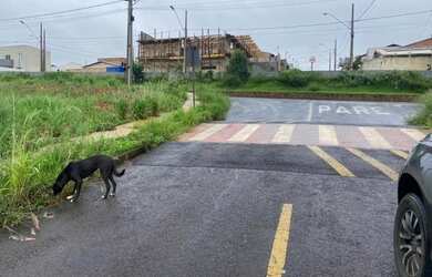 Imagem 3: Terreno no bairro Mangabeiras IV
