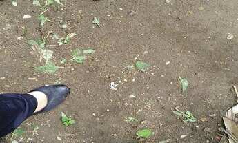 Imagem 4: TERRENO 10 X 30 - JARDIM UNIVERSO