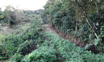 Imagem 6: Lote/Terreno para venda possui 8500 metros quadrados em Araponguinhas - Timbó - SC