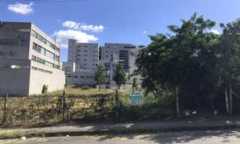 Imagem: Terreno Arduino