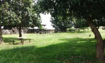 Imagem 6: Fazenda à venda no município de Nossa Senhora do Livramento-MT