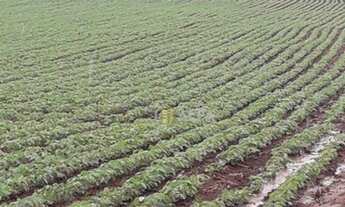 Imagem 5: Fazenda à venda, 105 alqueires por R$ 16.000.000 - Zona Rural Br381 - Careaçu/MG