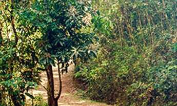 Imagem 4: Nova Lima - Loteamento/Condomínio - Cond. Veredas Das Gerais