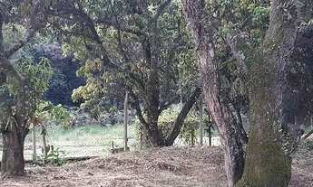 Imagem 2: Terreno Condomínio em Alphaville - Mairinque