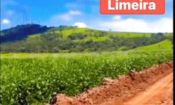 Imagem 2: TERRENOS NOVOS BANDEIRANTES