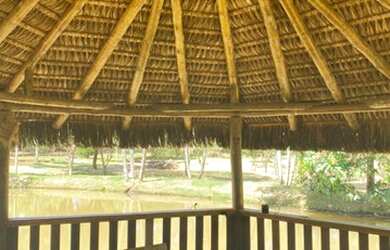 Imagem 6: Fazendinha com 3 lagoas em Mateus leme MG