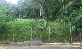 Imagem 3: Florianópolis - Terreno Padrão - Trindade