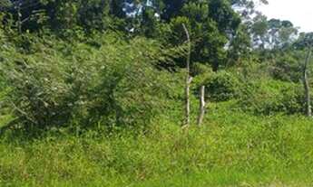 Imagem: Oportunidade para adquirir seu lote em Balneário