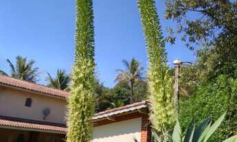 Imagem 3: Belo sítio bem localizado no bairro Dona Catarina