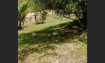 Imagem 4: Terreno à venda, 1700 m² por R$ 135.000,00 - Loteamento Agro Brasil - Cachoeiras de Macacu