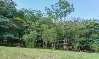 Imagem 7: Terreno plano bem localizado