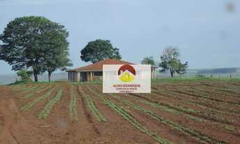 Imagem 2: Fazenda á venda em Rancharia - Municipio São Paulo