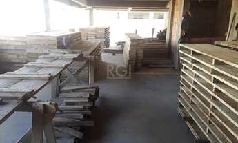 Imagem 5: Porto Alegre - Apartamento Padrão - Jardim Itu