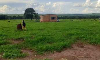 Imagem: Fazenda/Sítio/Chácara para venda possui